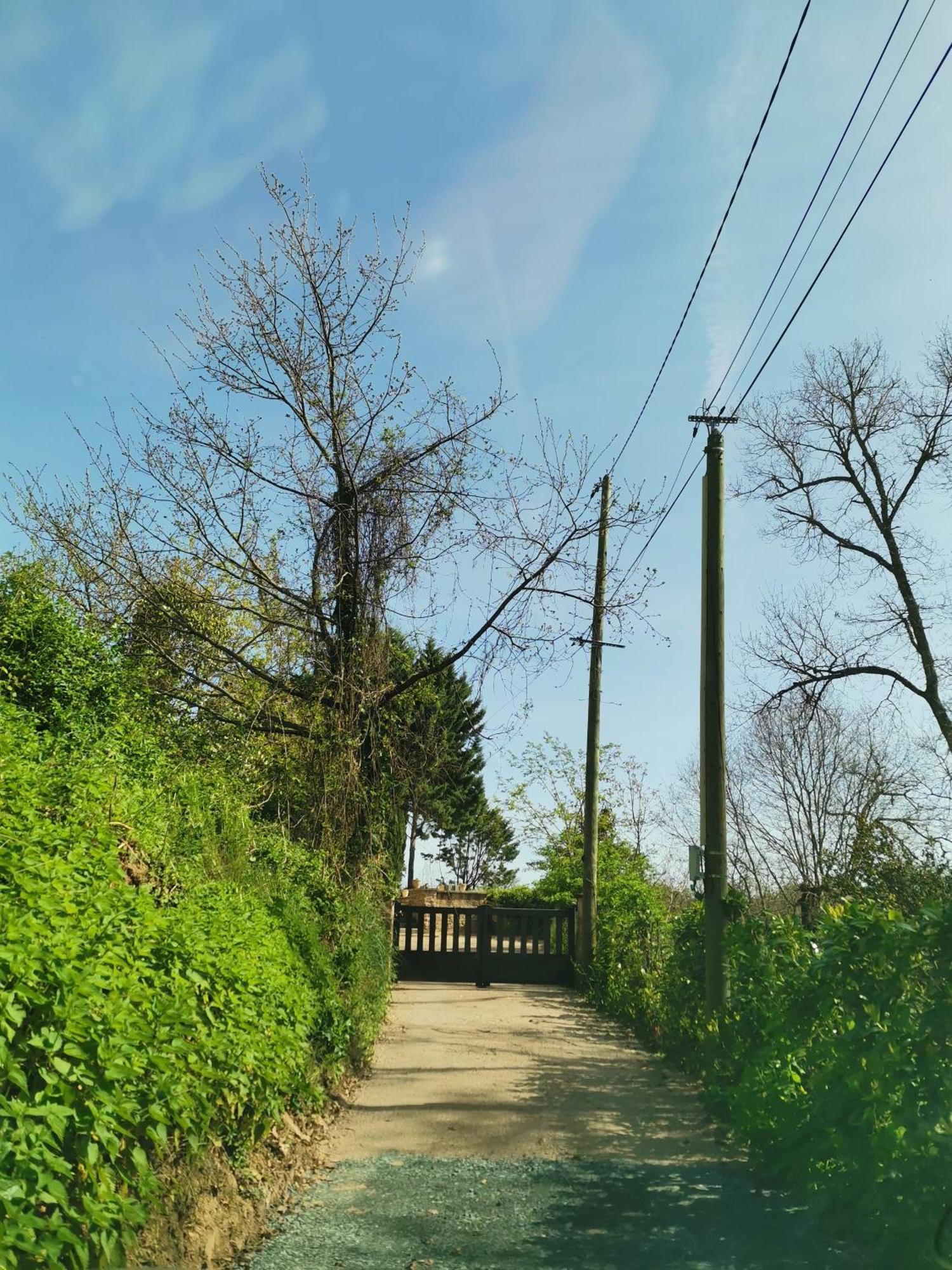 La Planque De L'Eclusier Castelnau-de-Lévis Exterior foto